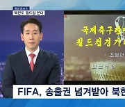 [평양돋보기] 북한도 월드컵 본다…출전 중도 포기 이유는?