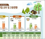 지난해 국산목재 이용률 소폭 증가해 17.1%…수입량 절대적