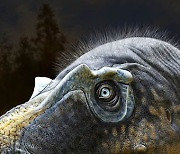 T-렉스 950만 년 빨라…눈 주위에 뿔난 신종 육식 공룡 발견 [다이노+]