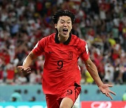 [월드컵] '유럽이 부른다' 조규성, '김민재 뛰었던' 페네르바체 러브콜...곧 공식 제안