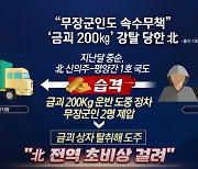 “무장군인도 속수무책”…北 ‘금괴 200kg 강탈 사건’ 발칵