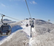"스키의 계절이 돌아왔다"… 하이원스키장 이달 9일 개장