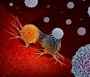 기적의 면역항암제 'NK세포 치료제', 상용화 언제되나?