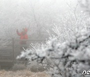 [오늘의 날씨]제주(1일, 목요일)…아침 최저 3도·산간 눈