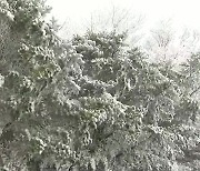 [날씨] 오늘 한파 절정, 현재 서울 체감 -13℃...서해안·제주 산간 눈