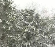 [날씨] 한파 절정, 서울 체감 -13℃...서해안·제주 산간 눈