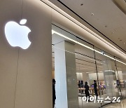 [韓 스마트폰 판도] ㊦ '갤럭시 텃밭' 노린 외산폰…애플·中 업체 추격 고삐