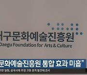 “대구문화예술진흥원 통합 효과 미흡”