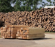 세계 최고의 조림 성공 국가 대한민국, 목재 자급률은 17.1% 그쳐…최근 국산 목재 가구·주택 인기는 ‘다행’