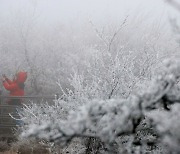 ‘체감 영하 15도’ 강추위…12월 첫날, 전국 곳곳에 눈