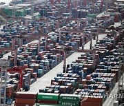 위기의 한국 수출…11월 14% 감소, 두달 연속 역성장