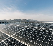 네이버 제2사옥에 '제3자 PPA' 재생 에너지 도입…태양광으로 연 전력 15% 충당