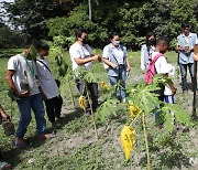 필리핀 소수민족 '아에타 족' 생계 위한 나무 심어요
