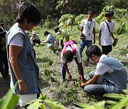 필리핀 소수민족 '아에타 족' 생계 위한 나무 심어요