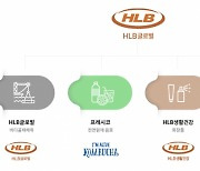 HLB글로벌, D2C 플랫폼 티아이코퍼레이션 250억원에 인수