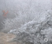 체감온도 -15도 안팎 강추위…전국 곳곳 눈