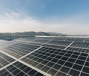 네이버 제2사옥, 연간 전력 15％ 태양광 발전으로 충당한다