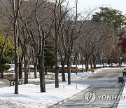 오후부터 서해안·제주산지 눈…모레는 서울 등 중부 눈·비