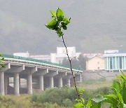 "북한 '코로나 국경봉쇄'는 체제 유지위한 불가피한 선택"