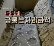 북한에서 발견된 공룡발자국 화석