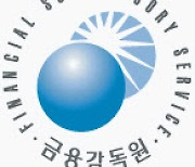 금감원 "지주, 소개영업 내부통제 개선해달라" 당부