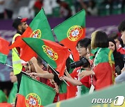 포르투갈 국기 흔드는 축구팬들