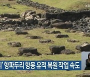 ‘최후 항쟁지’ 항파두리 항몽 유적 복원 작업 속도