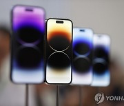 '애국 소비' 안 먹히네…아이폰, 中 점유율 역대 최고