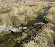 칠레·볼리비아 실랄라강 분쟁 종결 “국제수로 인정”