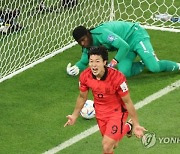 [월드컵] 16강, 남은 4자리 주인 누가 될까...한국, 일본과 8강서 맞붙을 수도