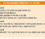 ‘ESG’ 언급 없는 투자설명서 사라진다