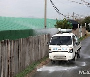 나주·고창 육용오리 농장 조류인플루엔자 확진…총 29건 발생