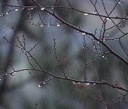 [내일 날씨] 전국 흐리고 비 또는 눈…추위는 다소 풀려