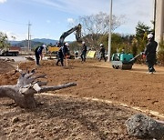 보성군 미세먼지 차단숲, 맨발로(路) 청춘 찾는다