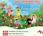 남양주시, 딸기 농촌체험 SNS 시민체험단 모집