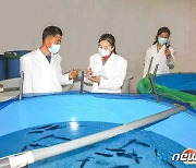 북한 "함경북도, 수산자원 보호 증식 위한 사업에 박차"