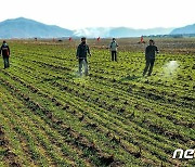 FAO "북한, 외부 식량지원 필요한 국가" 재지정