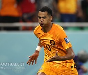 [월드컵 라인업] '16강 첫 경기' 네덜란드-미국 선발 명단 발표... 각포vs풀리식