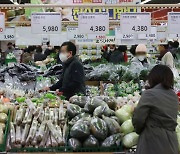 세계 식량가격 8개월째 하락세…농식품부 “수급 점검 지속”