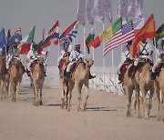 [지구촌톡톡] 카타르 월드컵 흥행은 좋은데…등골 휘는 낙타들