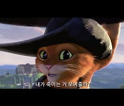 '장화신은 고양이: 끝내주는 모험' 1월 4일 개봉…드림웍스 2023 첫 어드벤처