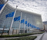 유럽의회 통상위원장 “美IRA, EU와 양립불가… WTO에 제소해야”