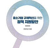 中企 10곳 중 4곳 “규제 애로 경험”