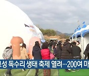 고성 독수리 생태 축제 열려​…200여 마리 월동