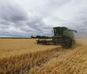 우크라, 러시아 점령지서 1.3조원 어치 밀 수확량 뺏겨