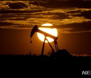 OPEC+, 원유 생산량 유지 결정…"하루 200만 배럴 감산 유지"(종합)