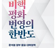 北매체, '담대한 구상'에 "황당한 망상" 비난