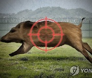 성남 율동공원 인근서 멧돼지 출몰 신고…"외출시 주의"