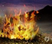강원 고성서 산불, 산림 0.5㏊ 태우고 1시간 40여 분만에 진화(종합)