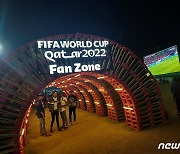 카타르 월드컵서 마련된 '팬 존'